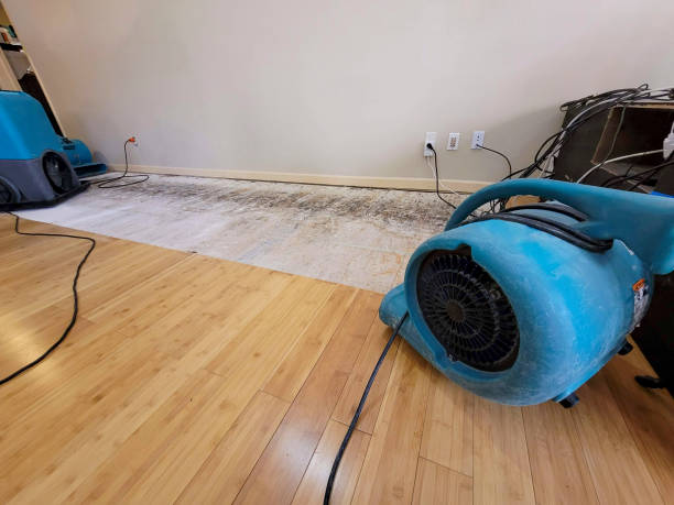 Professional Water Damage Repair technician working in Islesboro, ME
